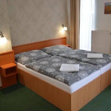 Wellness Kotar מלון