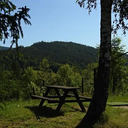 Hotel Wellness Kotar 3*